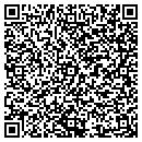 QR code with Carpet Lady Inc contacts
