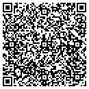 QR code with Pro Travel Network contacts