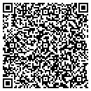 QR code with Pro Travel Network contacts
