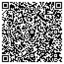 QR code with Pv Travel contacts