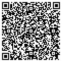 QR code with T Cakes contacts