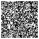 QR code with Premier Plus Travel contacts