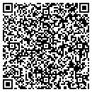 QR code with Carpet One Fishers contacts