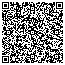 QR code with Carpet Express Inc contacts