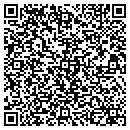 QR code with Carver Floor Covering contacts