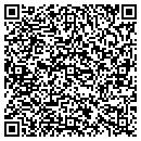 QR code with Cesare Travel Service contacts