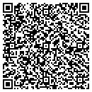 QR code with Collins Small Engine contacts