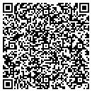 QR code with Cynergy Travel contacts