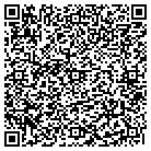 QR code with Brians Small Engine contacts