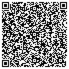 QR code with Public Safety Department contacts