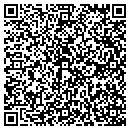 QR code with Carpet Classics Inc contacts
