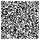QR code with Public Safety Department contacts