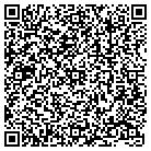QR code with Public Safety Department contacts