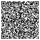 QR code with Carpet Innovations contacts