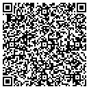 QR code with Carpet Inspectors Inc contacts