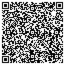 QR code with Carpet One Douglas contacts