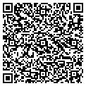 QR code with Elvino contacts