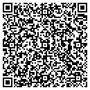 QR code with Pullman Arms contacts