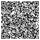QR code with Custom Training LLC contacts