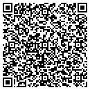 QR code with Pro Active Solutions contacts