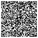 QR code with Psj Travel contacts