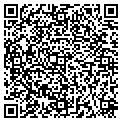 QR code with Igloo contacts