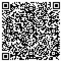 QR code with Mawadda contacts