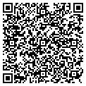 QR code with Mspark contacts