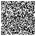 QR code with Z Rink contacts