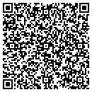 QR code with Puxico Skating Rink contacts