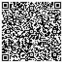 QR code with Borrowdale Acres Inc contacts
