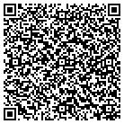 QR code with Andesa Strategies contacts