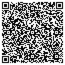 QR code with Castleview Hospital contacts