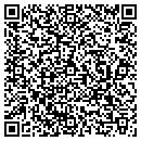 QR code with Capstone Development contacts