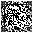 QR code with Pro Solutions contacts