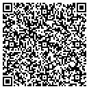 QR code with Pr Framing Etc contacts