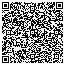 QR code with Professional Frame contacts