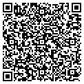 QR code with Salveo contacts
