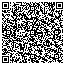 QR code with Castleton Dance World contacts