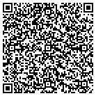 QR code with Pursuit Development contacts