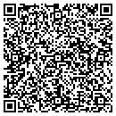 QR code with Borealis Events LLC contacts
