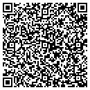 QR code with Cognisa Security contacts