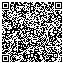 QR code with Pretty In Paint contacts