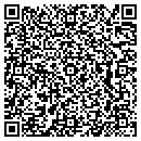 QR code with Celcuity LLC contacts