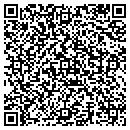 QR code with Carter Custom Homes contacts