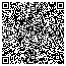 QR code with Capozzi Kenneth R DDS contacts