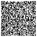QR code with Collins Daniel R DDS contacts