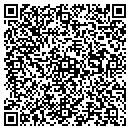 QR code with Professional Typing contacts