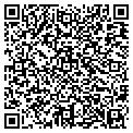 QR code with Anthem contacts