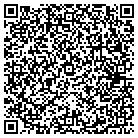 QR code with Blue Water Consulting LC contacts